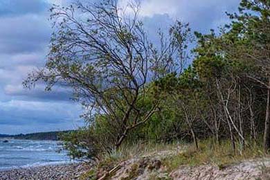 VALORANT 职业选手竞技状态火热，valorant职业选手设置