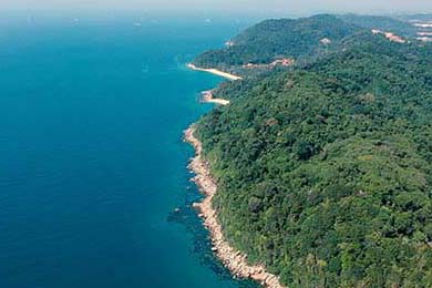 上海绿地申花阵容轮换频繁，团队默契受影响，上海绿地申花更名