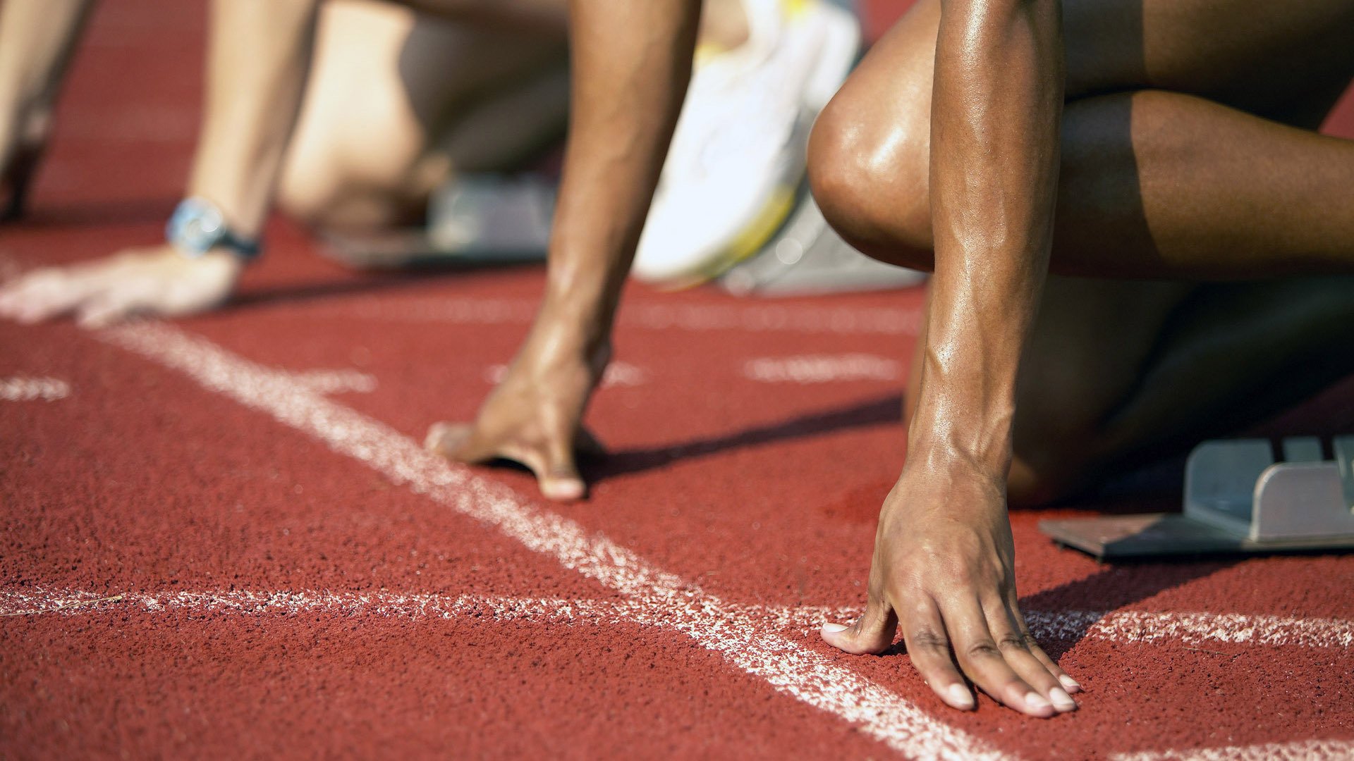 _大自然跑步:森林、河谷、山脉的奔跑体验_,森林 跑步